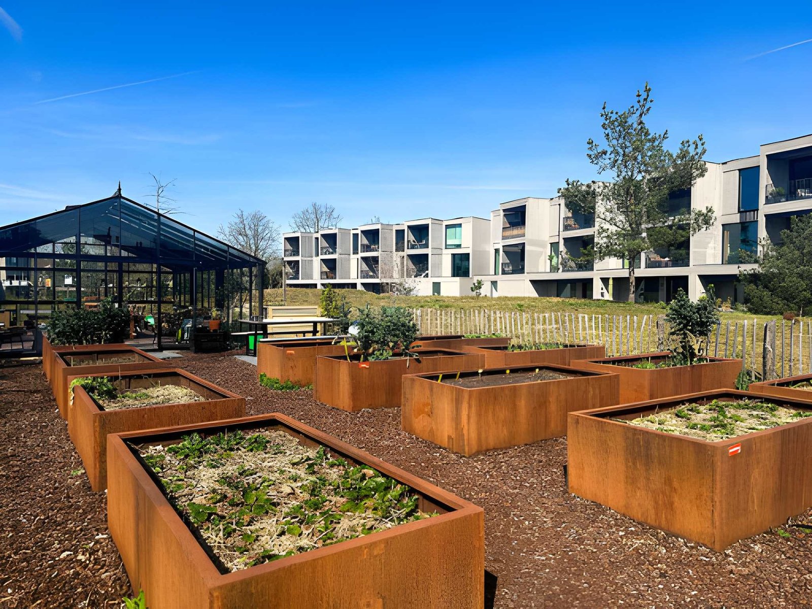 commercial landscaping services