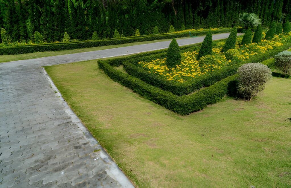 landscaping and garden design