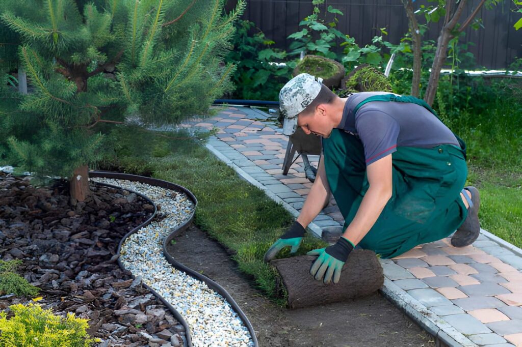 instant lawn installations