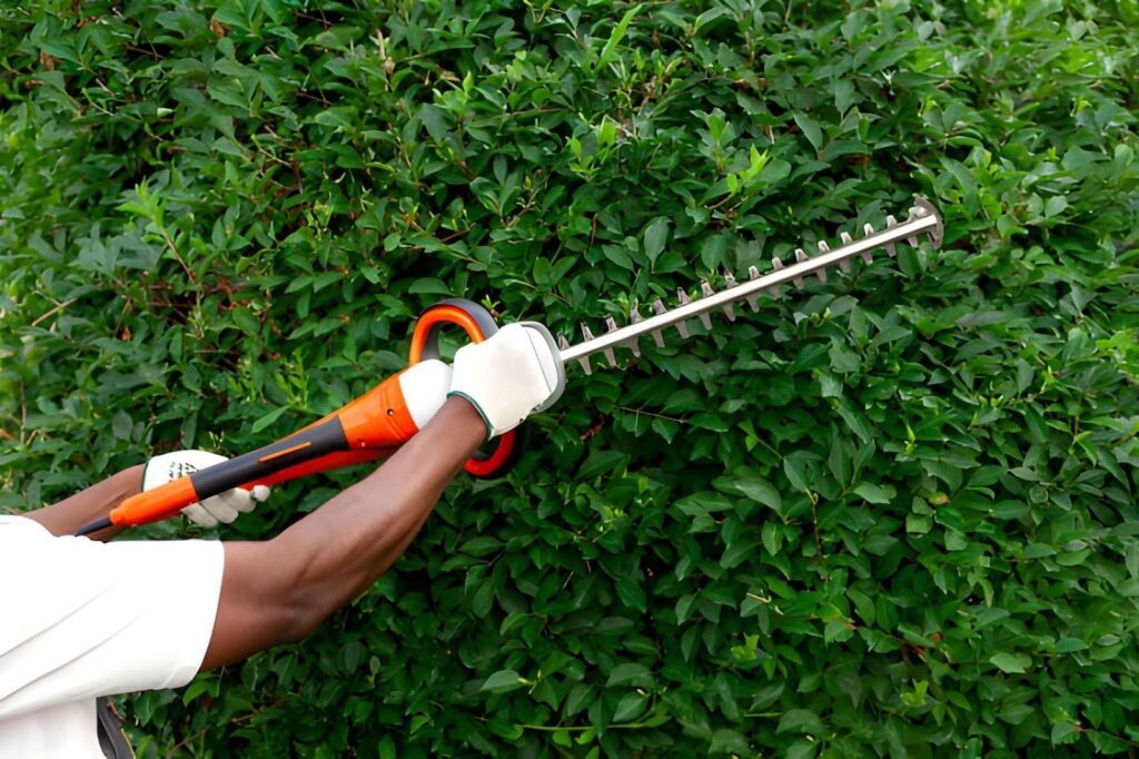 Dimela for Garden Maintenance?