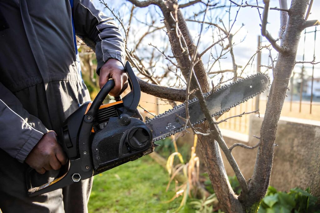 Tree felling